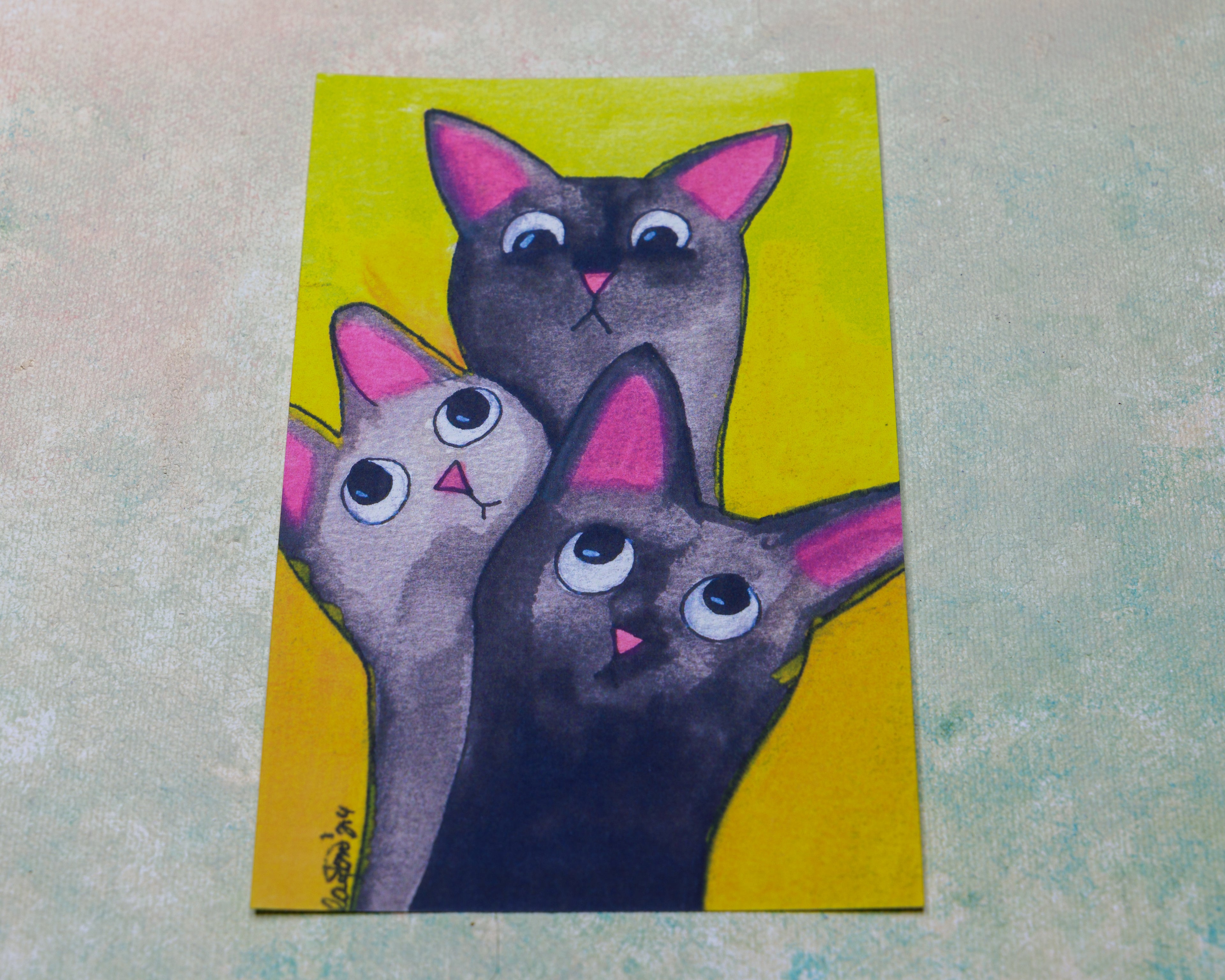 Dumb Cats Post Card Set