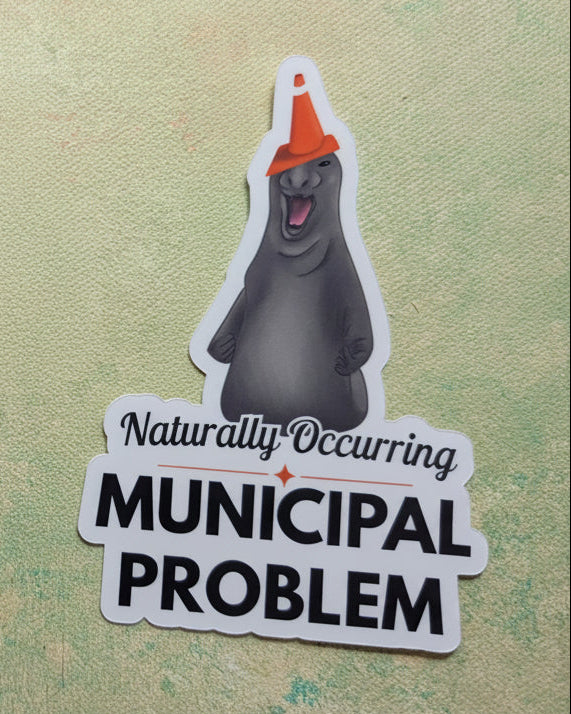 Naturally Occurring Municipal Problem