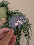 Jimothy the Racoon Sticker