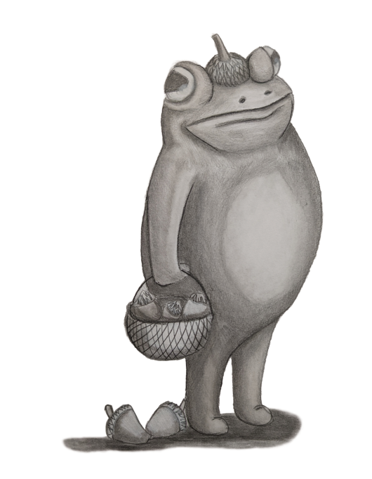 Illustrated Frog Greeting Cards