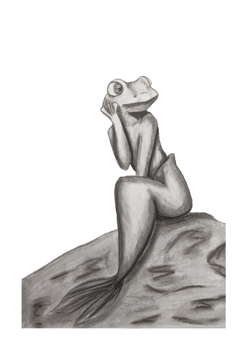 Illustrated Frog Greeting Cards